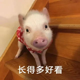 长得多好看