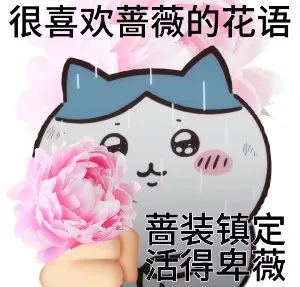 很喜欢蔷薇的花语蔷装镇定活得卑薇（很喜欢蔷薇的花语蔷装镇定活得卑薇）