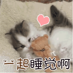 一起睡觉啊
