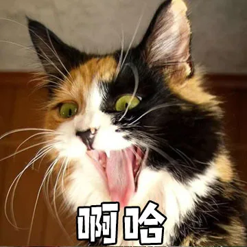 啊哈（猫）（啊哈（猫））
