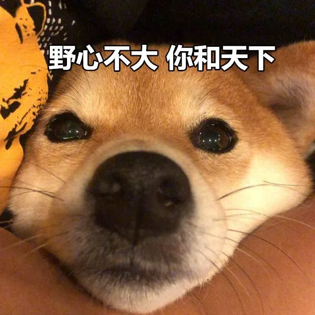 野心不大你和天下