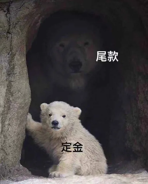 尾款定金