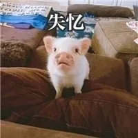 失忆
