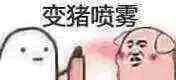 变猪喷雾（变猪喷雾）