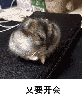 又要开会（又要开会）