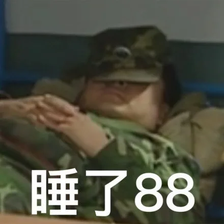 睡了88（睡了88）
