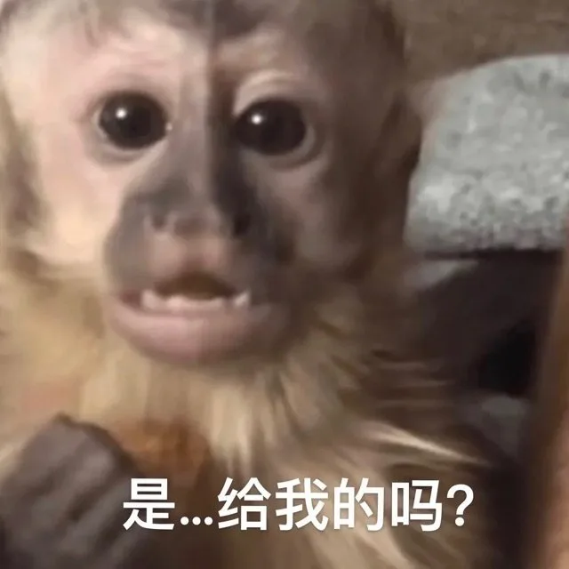 是…给我的吗？(嘛喽猴子表情包)（是…给我的吗？(嘛喽猴子表情包)）