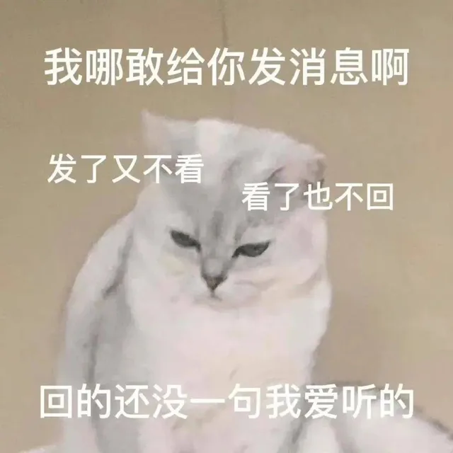 我哪敢给你发消息啊发了又不看看了也不回回的还没一句我爱听的