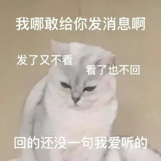 我哪敢给你发消息啊发了又不看看了也不回回的还没一句我爱听的