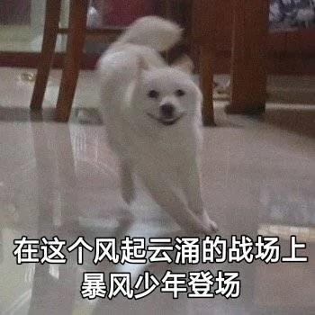 在这个风起云涌的战场上，暴风少年登场
