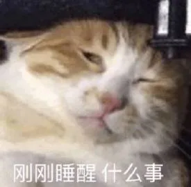 刚刚睡醒什么事（刚刚睡醒什么事）
