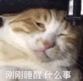 刚刚睡醒什么事