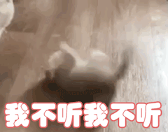 我不听我不听（我不听我不听）