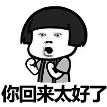 上厕所玩手机，吃饭玩手机，睡觉玩手机，你回来干嘛表情包