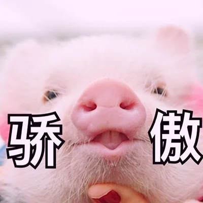 骄傲