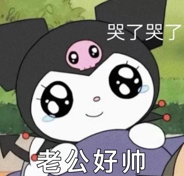哭了哭了老公好帅