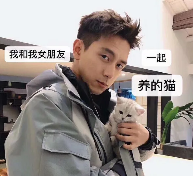 我和我女朋友一起养的猫