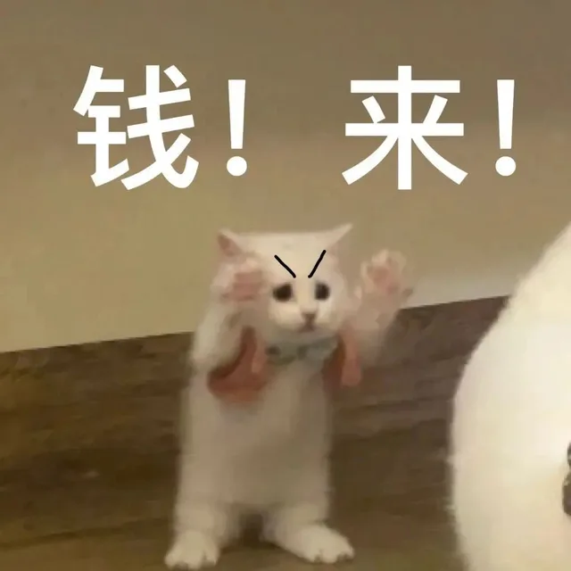 钱！来！（钱！来！）