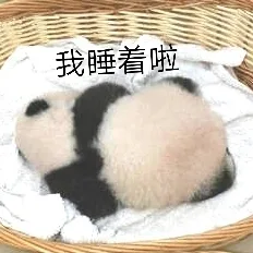 我睡着啦