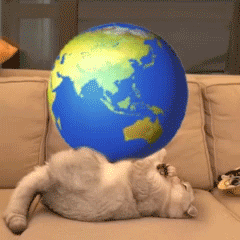 猫咪盘地球