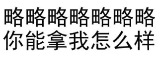 略略略略略略略略略略，你能拿我怎么样？