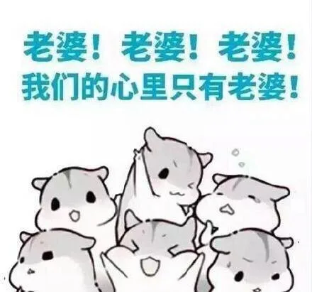 老婆！老婆！我们心里只有老婆！