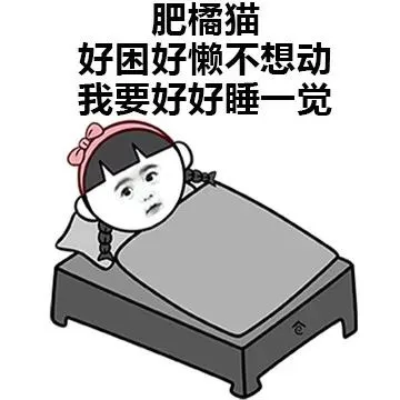 肥橘猫：好困好懒不想动 我要好好睡一觉