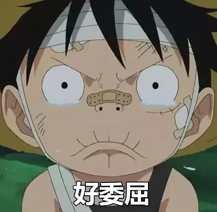 好委屈（海贼王）