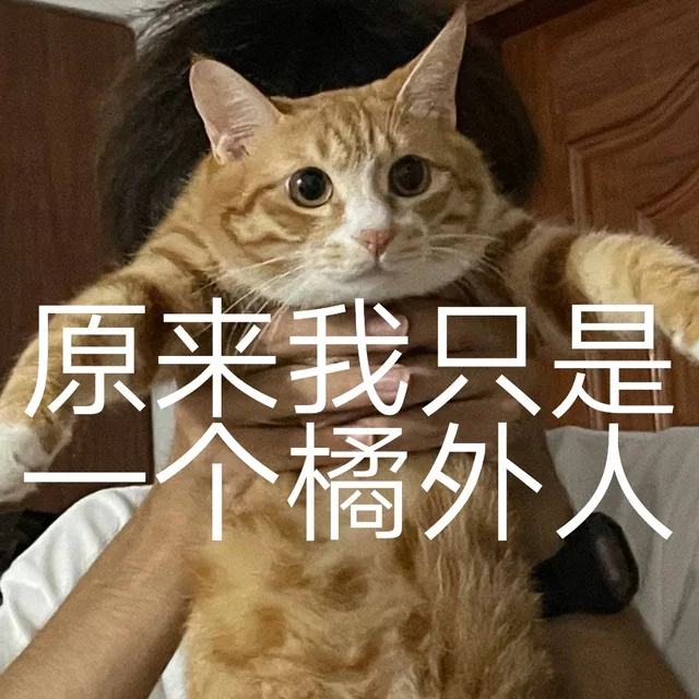 原来我只是个橘外人