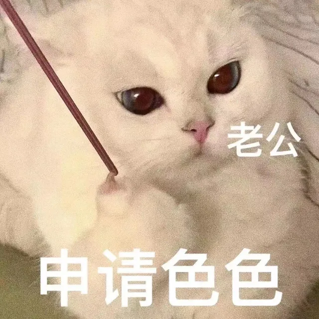 老公申请色色