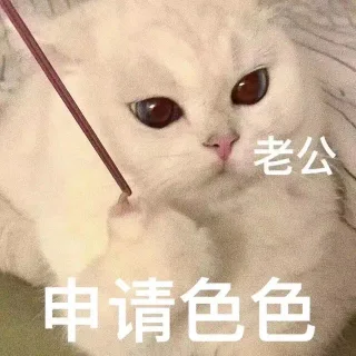 老公申请色色
