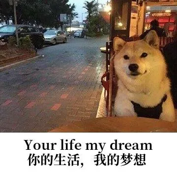 Your life my dream你的生活，我的梦想（Your life my dream你的生活，我的梦想）