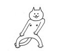神经病猫表情系列_神经猫表情包