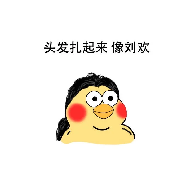 头发扎起来像刘欢