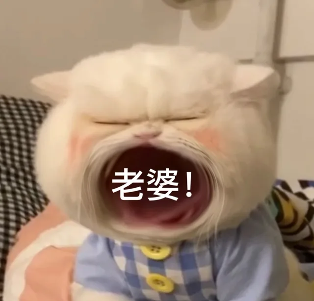 老婆!（老婆!）