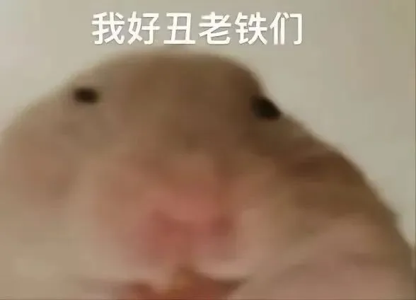 我好丑老铁们（我好丑老铁们）