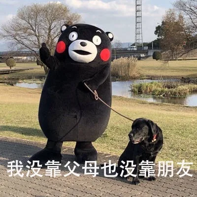 我没靠父母也没靠朋友