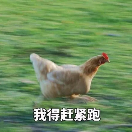 我得赶紧跑（我得赶紧跑）