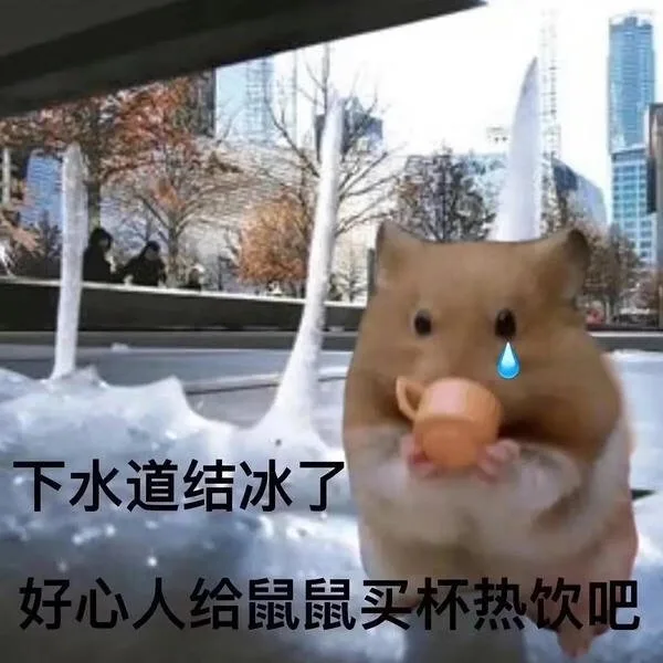 下水道结冰了好心人给鼠鼠买杯热饮吧（下水道结冰了好心人给鼠鼠买杯热饮吧）