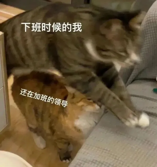 下班时候的我还在加班的领导（下班时候的我还在加班的领导）