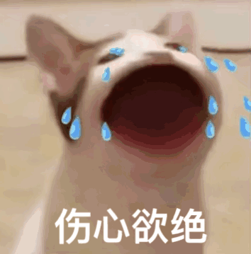 伤心欲绝（POPO猫表情包）（伤心欲绝（POPO猫表情包））
