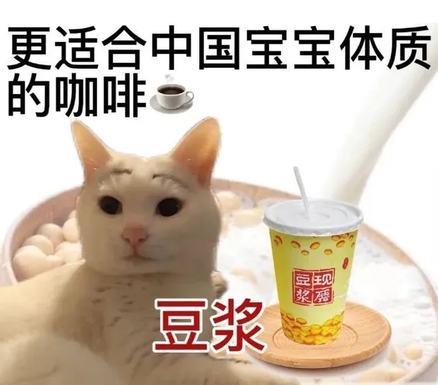 更适合中国宝宝体质的咖啡豆见浆鹰豆浆