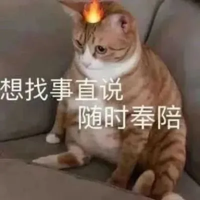 想找事直说随时奉陪(猫猫表情包)（想找事直说随时奉陪(猫猫表情包)）