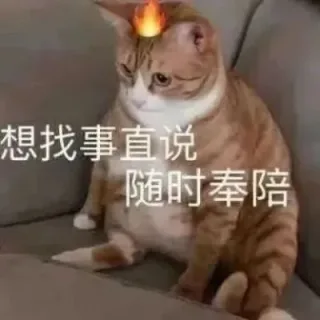 想找事直说随时奉陪(猫猫表情包)
