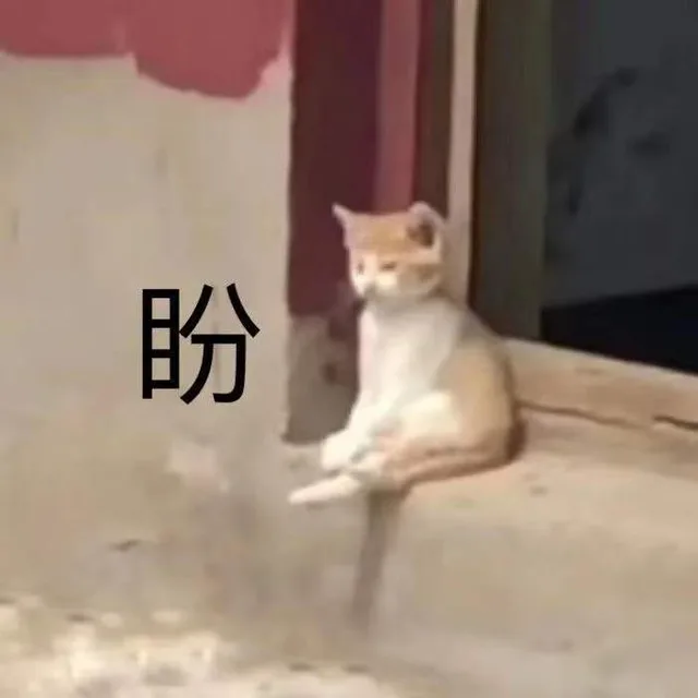 盼