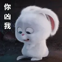 《爱宠大机密》兔子表情包_爱宠大机密_兔子_卡通表情包