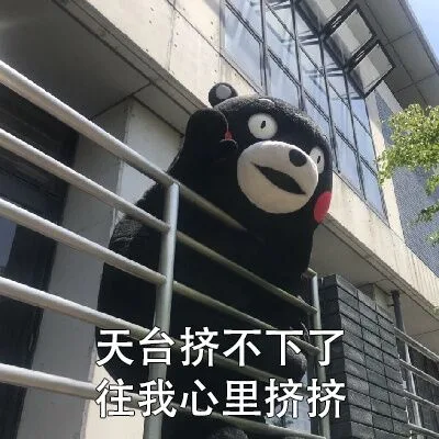 天台挤不下了往我心里挤挤