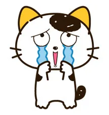 猫猫哭了