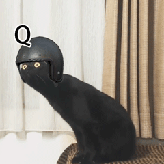 Q E（Q E）