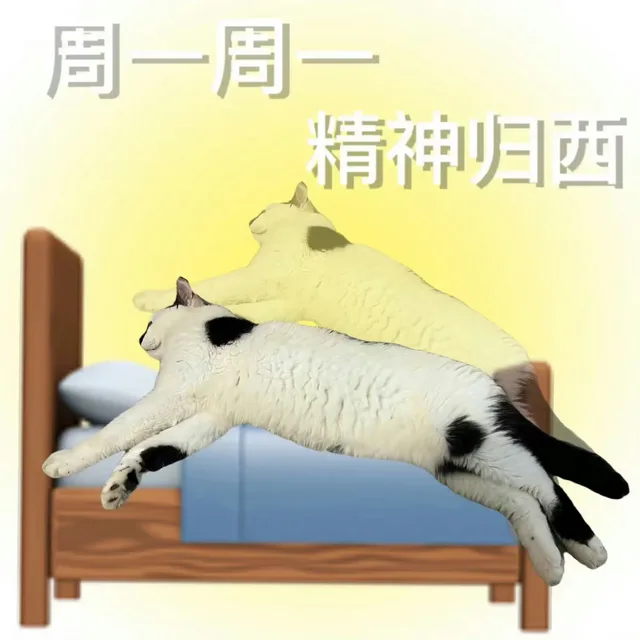 周一周一精神归西（周一周一精神归西）